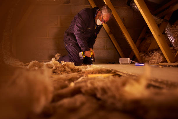 Best Commercial Insulation Services  in Clinton, SC